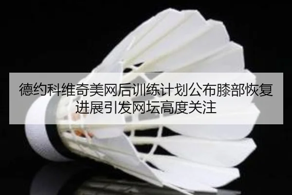 德约科维奇美网后训练计划公布膝部恢复进展引发网坛高度关注